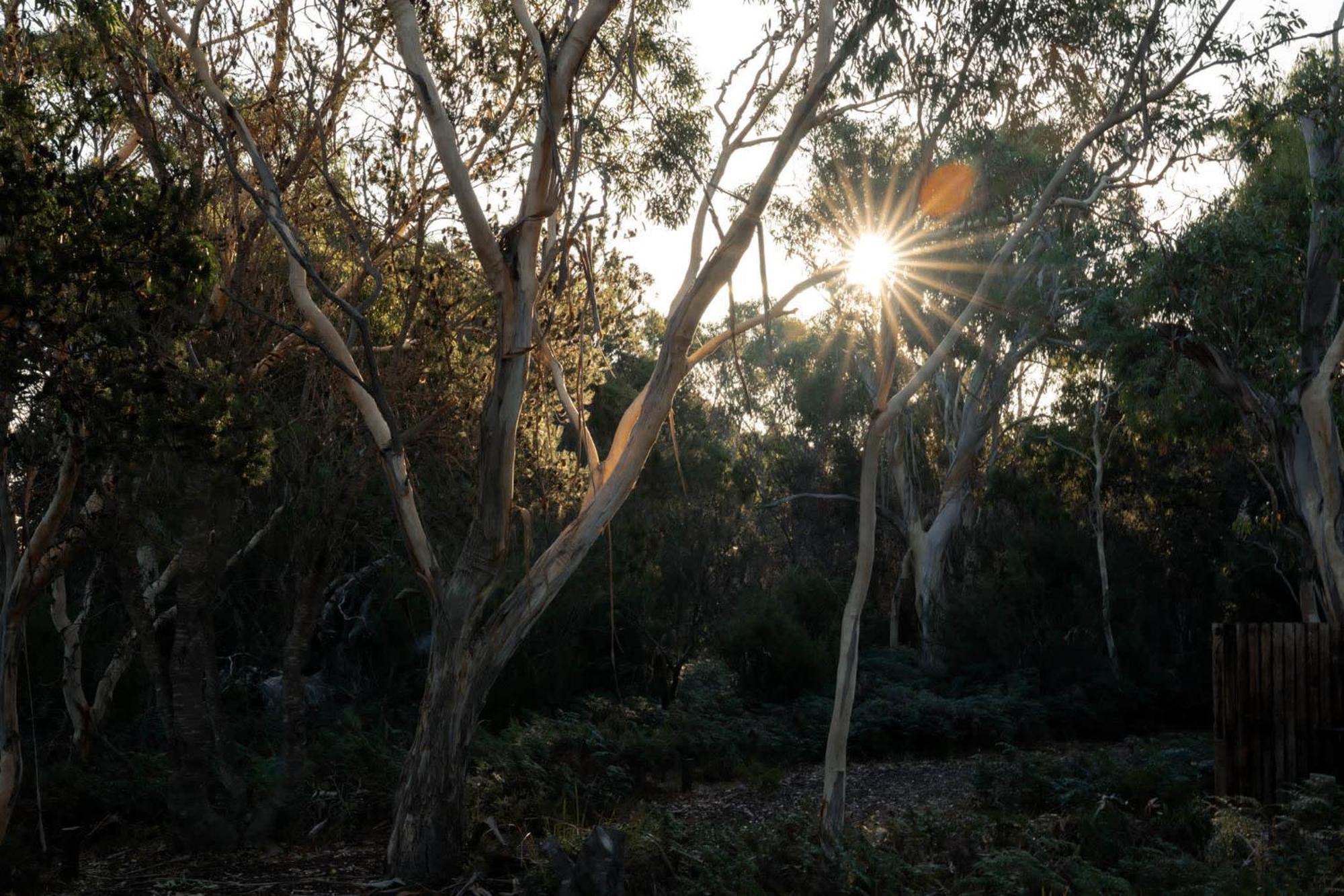 Numie - Freycinet Peninsula - Glamping - Heated - Waterfront Hotell Coles Bay Eksteriør bilde