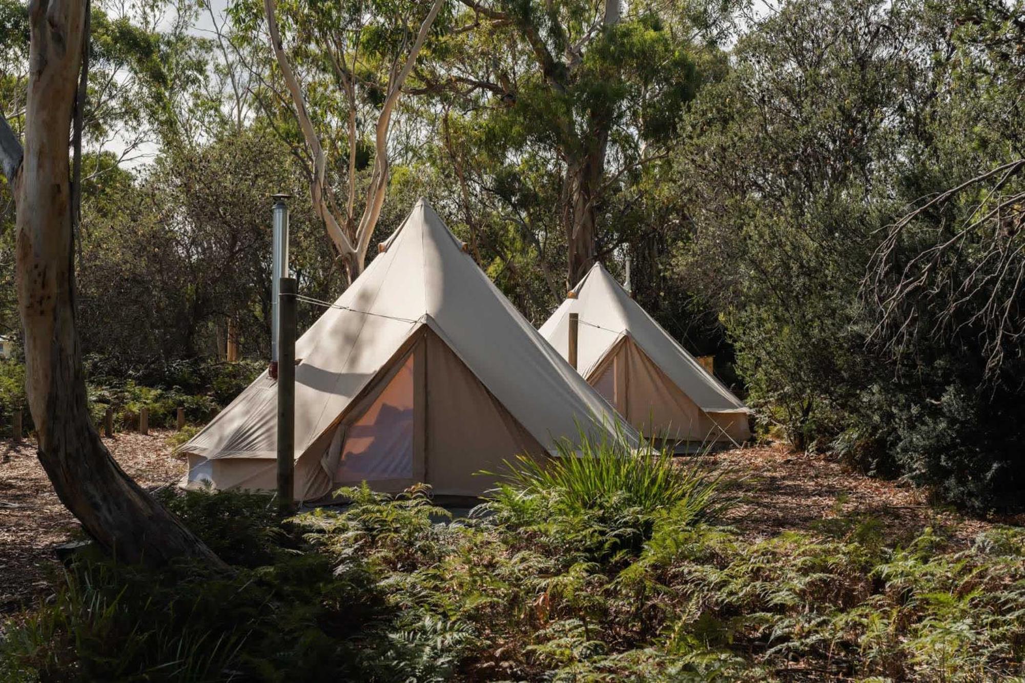 Numie - Freycinet Peninsula - Glamping - Heated - Waterfront Hotell Coles Bay Eksteriør bilde