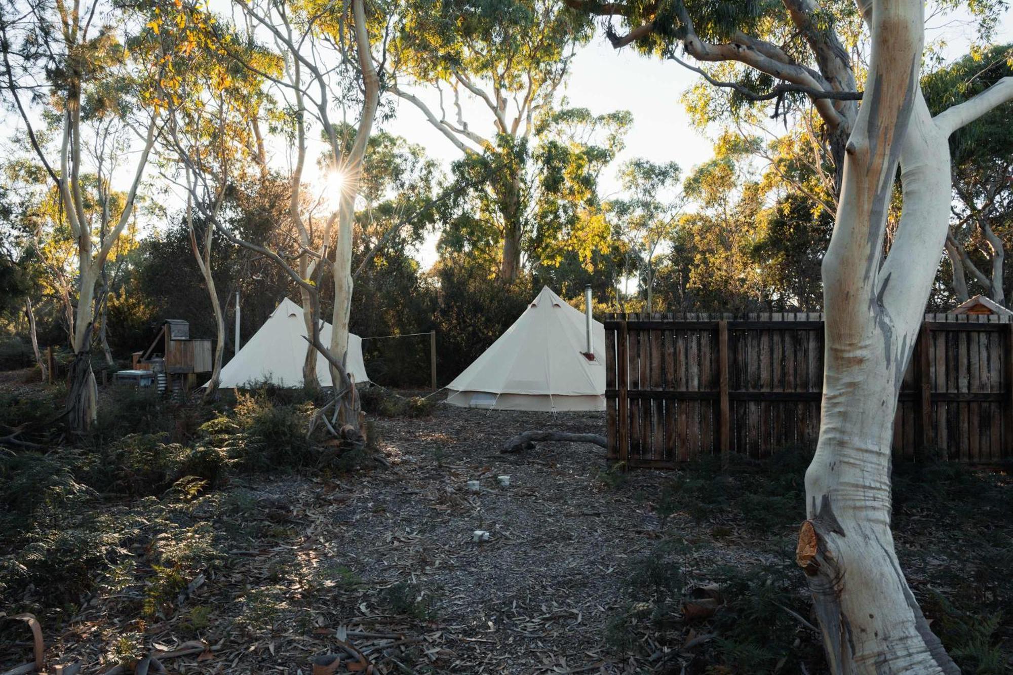 Numie - Freycinet Peninsula - Glamping - Heated - Waterfront Hotell Coles Bay Eksteriør bilde