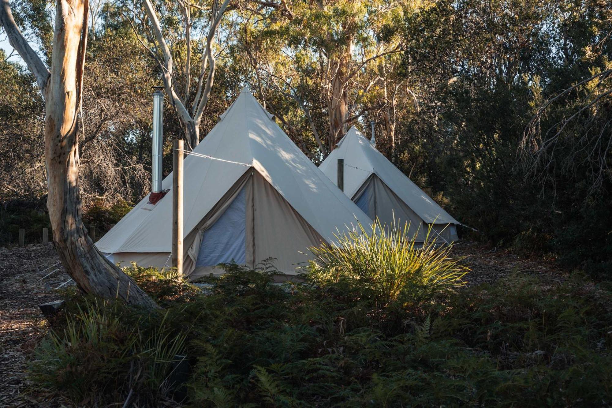 Numie - Freycinet Peninsula - Glamping - Heated - Waterfront Hotell Coles Bay Eksteriør bilde